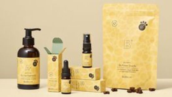 BioBloom: Premium Bio CBD- & Hanfprodukte für Hunde & Katzen