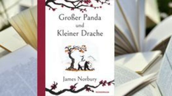 Buchtipp No134: Großer Panda und kleiner Drache