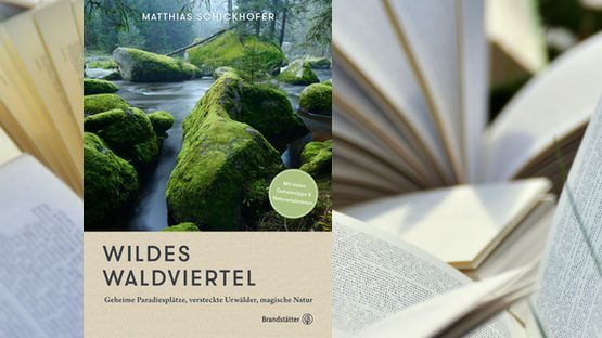Bildband, Waldviertel, Umweltschutz, Matthias Schickhofer, Verlag Brandstätter - Petdoctors [13|04|22]