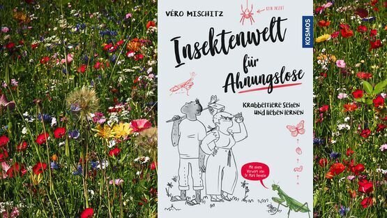 Sachbuch, Natur, Umwelt, Insekten, Insektensterben, Vero Mischitz, Kosmos Verlag, Insektensterben -  Petdoctors [16|04|22]