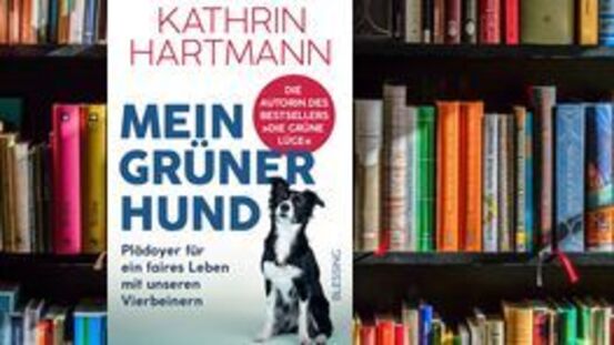 Buchtipp No145: Mein grüner Hund [05|22]