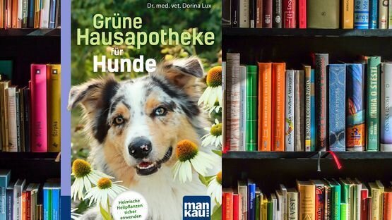 Ratgeber, Heilpflanzen, Pflanzenporträts, Dr. med. vet. Dorina Lux, Verlag Mankau - Petdoctors [12|05|22]