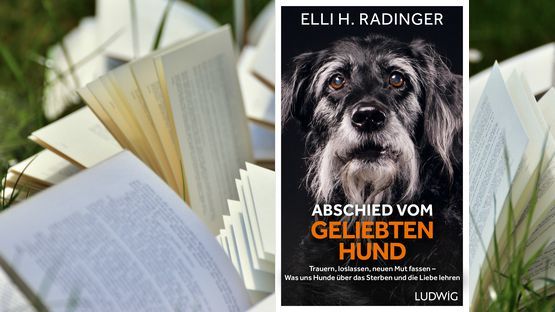 Trauern, loslassen, neuen Mut finden, Elli H. Radinger, Verlag Ludwig Buchverlag - Petdoctors [02|06|22]