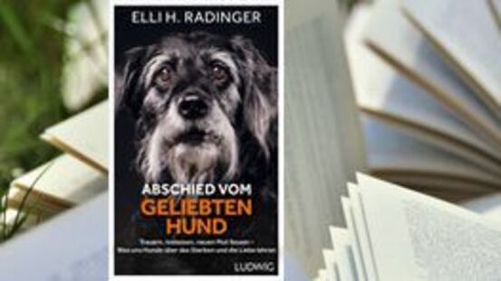 Buchtipp No155: Abschied vom geliebten Hund 