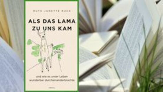 Buchtipp No159: Als das Lama zu uns kam