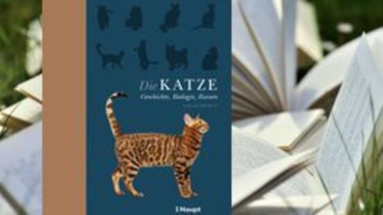 Buchtipp No166: Die Katze