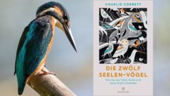 Buchtipp No167: Die zwölf Seelen – Vögel