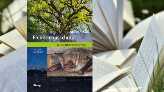 PetdoctorsChoice, Natur, Umwelt, Fledermaus, Lichtverschmutzung, Elias Bader, Hubert Krättli, Haupt Verlag - Petdoctors [05|09|22]