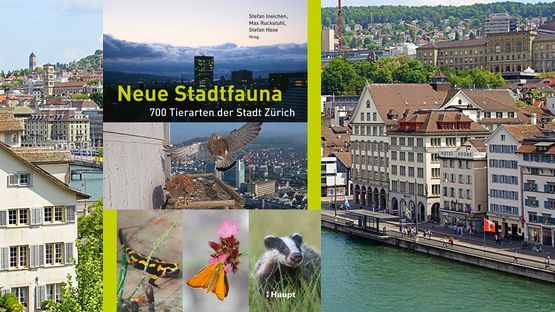 Stadtfauna, Artenvielfalt, Klimawandel, Stefan Ineichen, Max Ruckstuhl, Stefan Hoser, Haupt Verlag - Petdoctors [25|10|22]
