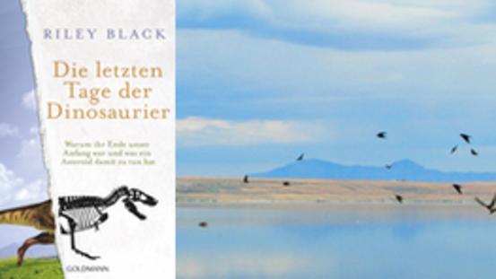 Buchtipp No179: Die letzten Tage der Dinosaurier