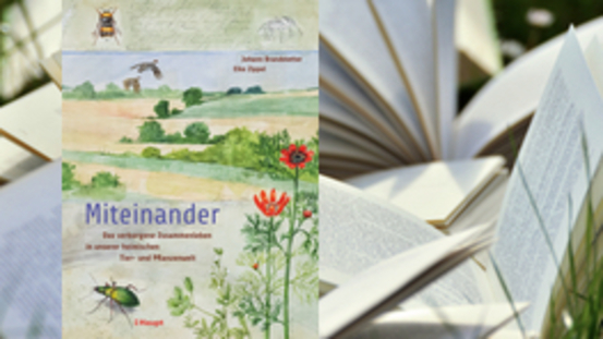 Buchtipp No181: Miteinander