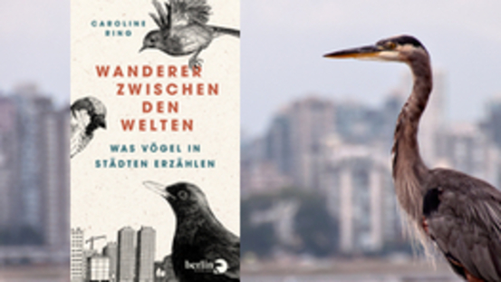 Buchtipp No187: Wanderer zwischen den Welten