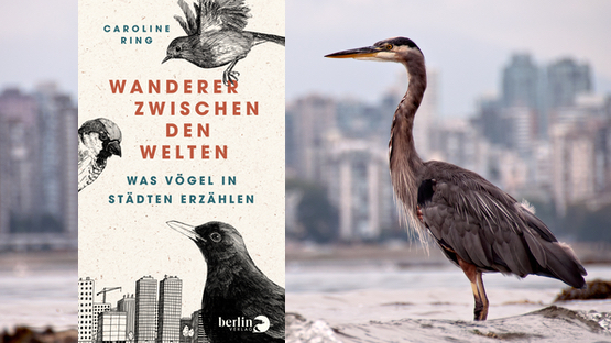 Sachbuch, Städte, Lebensräume, Vögel, Caroline Ring, Berlin Verlag - Petdoctors [21|12|22]