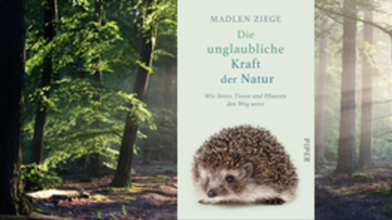 Buchtipp No4: Die unglaubliche Kraft der Natur