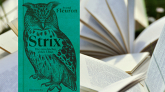 Buchtipp No6: Strix - Die Geschichte eines Uhus