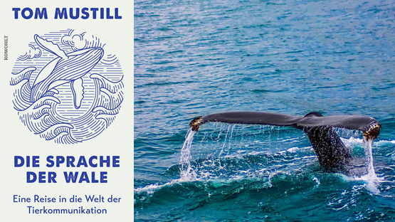 Sachbuch, Natur, Meer, Wale, Tierkommunikation, Tom Mustill, Rowohlt Buchverlag -  Petdoctors [02|04|23]