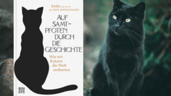 Buchtipp No22: Auf Samtpfoten durch die Geschichte