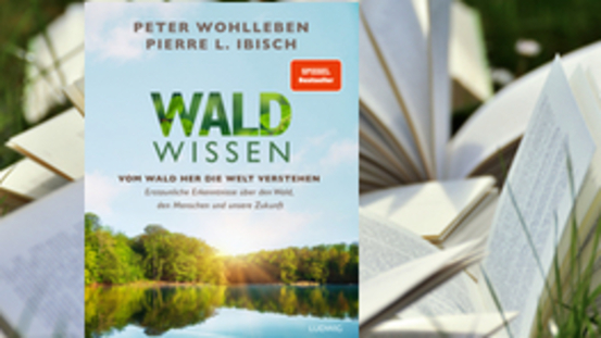 Buchtipp No32: Wald Wissen