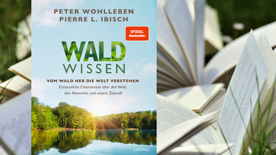Umwelt, Natur, Peter Wohlleben, Pierre L. Ibisch, Verlag Ludwig  - Petdoctors  [04|06|23]