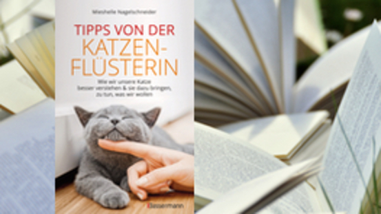 Buchtipp No33: Tipps von der Katzenflüsterin