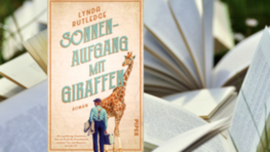 Buchtipp No35: Sonnenaufgang mit Giraffen