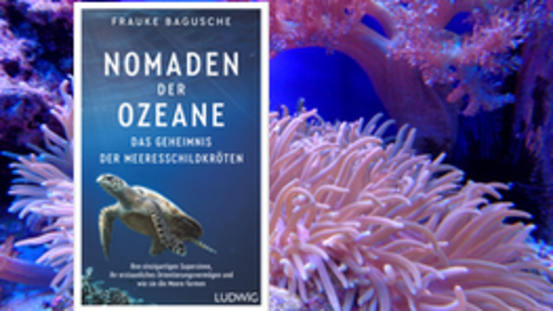 Buchtipps No36: Nomaden der Ozeane