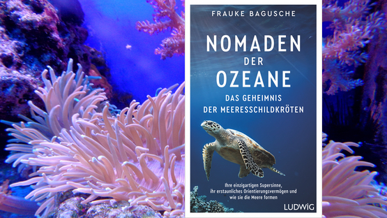 PetdoctorsChoice, Sachbuch, Natur, Meer, Meeresschildkröten, Frauke Bagusche, Verlag Ludwig, Penguin Random House - Petdoctors [03|07|23] 