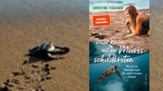 Buchtipp No37: Meine Reise mit den Meeresschildkröten 