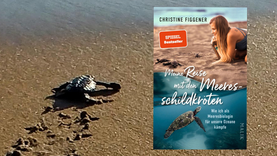 PetdoctorsChoice, Sachbuch, Natur, Meer, Meeresschildkröten, Christine Figgener, Verlag Malik - petdoctors.at [05|07|23]