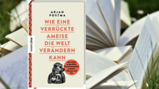 Buchtipp No40: Wie eine verrückte Ameise die Welt verändern kann