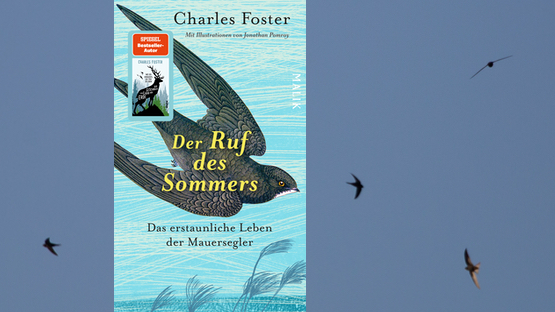Petdoctors Choice, Mauersegler, Vögel, Sachbuch, Natur, Charles Foster, Verlag Malik (Piper), Wissenschaft - Petdoctors.at [09|08|23]