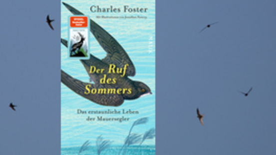 Buchtipp No42: Der Ruf des Sommers