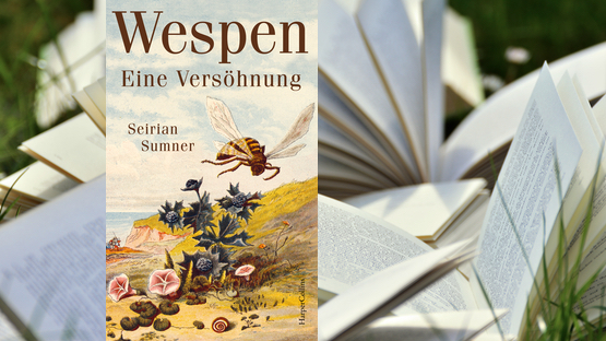 Natur, Umwelt, Insekten, Wespen, Seirian Sumner, Verlag Harper Collins - Petdoctors.at [22|08|23]