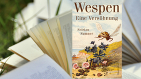 Buchtipp No43: Wespen