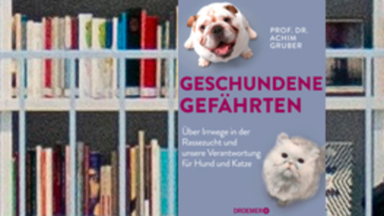 Buchtipp No46: Geschundene Gefährten