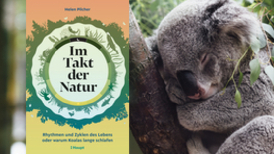 Buchtipp No47: Im Takt der Natur