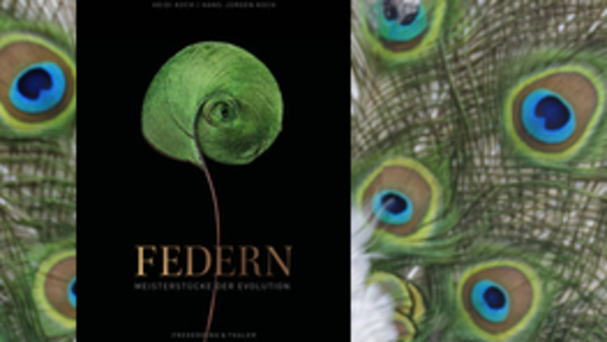 Bildschöne Bücher: Federn - Meisterstücke der Evolution