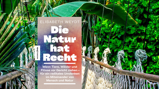 Sachbuch, Umwelt, Naturschutz, Klimawandel, Ökosystem, Zusammenleben, Elisabeth Weydt, Verlag Knesebeck - Petdoctors.at  [23|11|23]