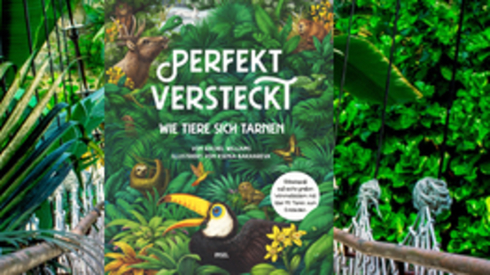 Buchtipp No3: Perfekt versteckt