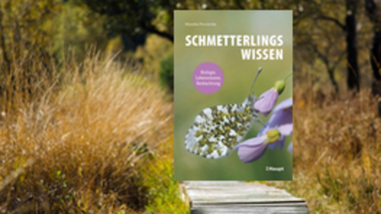 Buchtipp No05: Schmetterlingswissen