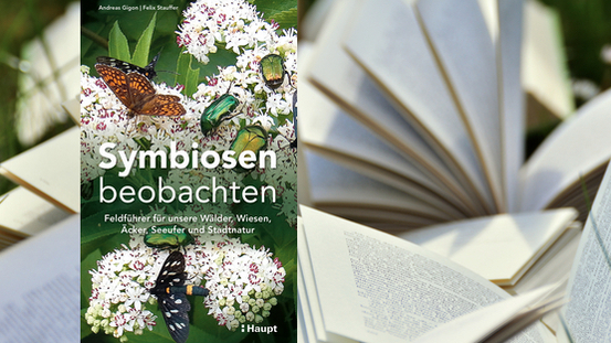 Buchtipp No08: Symbiosen beobachten