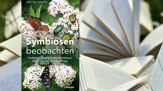 Sachbuch, Feldführer, Pflanzen, Tiere, Symbiose, Andreas Gigon, Felix Stauffer, Haupt Verlag - Petdoctros.at [13|03|24]