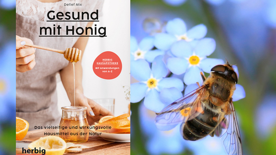 Sachbuch, Honig, Hausmittel, Menschen, Detlef Mix, Verlag Herbig bei Kosmos - Petdoctors.at [28|04|24]