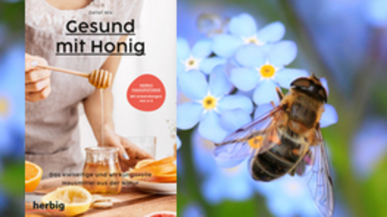 Buchtipp No18: Gesund mit Honig