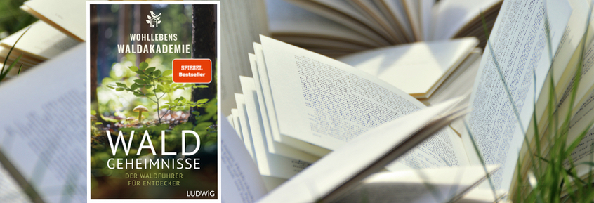 Buchtipp No41: Waldgeheimnisse